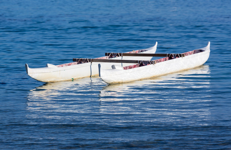 上海花开海上生态园图片