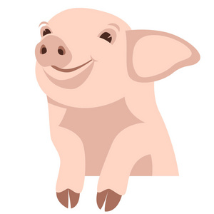 猪脸微笑矢量插画平面样式前面照片