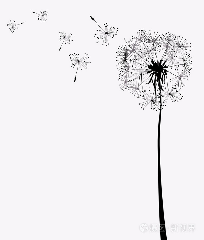 蒲公英插画-正版商用图片05ugwy-摄图新视界