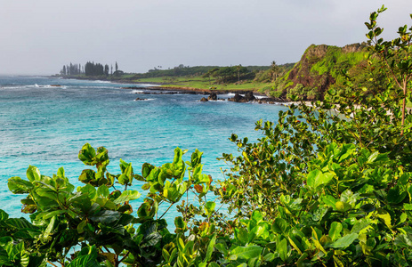 夏威夷茂宜岛的美丽热带风光
