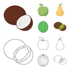 椰子, 苹果, 梨, 西瓜。水果集合图标在卡通, 轮廓风格矢量符号股票插画网站