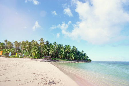 美丽的风景与白色沙子热带海滩和绿色棕榈树