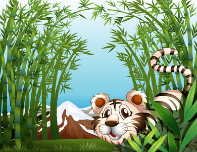 在一片竹林中的一只老虎