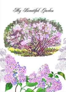 我的丁香春天花园卡片水彩插图