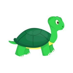 海龟动物海洋绿色自然野生动物海洋水下爬行动物字符向量插图照片