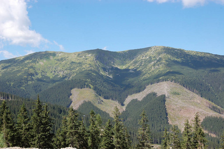 亚斯纳马蒂奇低 Tatras 中的绿色山脉和蓝天的夏季景观, 斯洛伐克