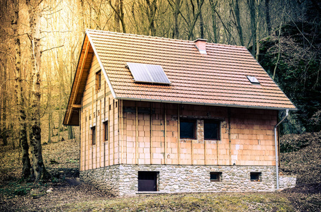 新农村建设建设新的住宅, 建设新的平房标志, 建设新的森林休闲建筑