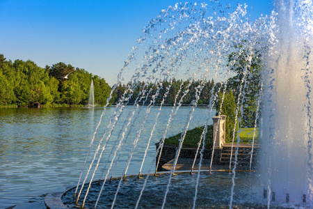 湖上夏日公园的喷泉