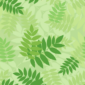 无缝模式带绿色荣叶。矢量插画