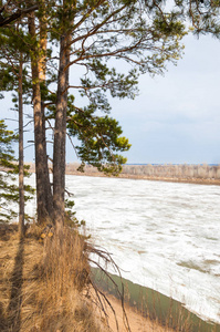 春河，河上的冰。如诗如画的春景河冰融化光秃秃的树木和美丽的云彩，在蓝蓝的天空