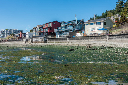 西部西雅图海滨住宅的低潮观