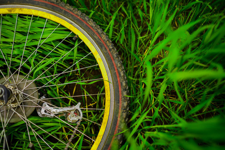自行车的后轮躺在绿草上