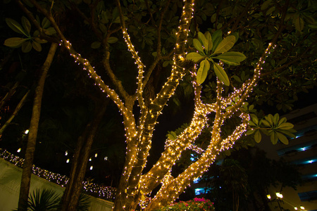 装饰性户外串灯挂在树上的花园在夜间时间-装饰圣诞灯-新年快乐照片