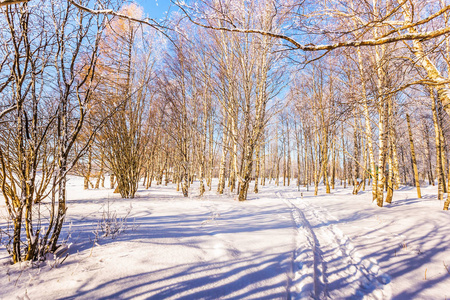 在北极, 拉普兰的寒冷的天在雪的蹲路