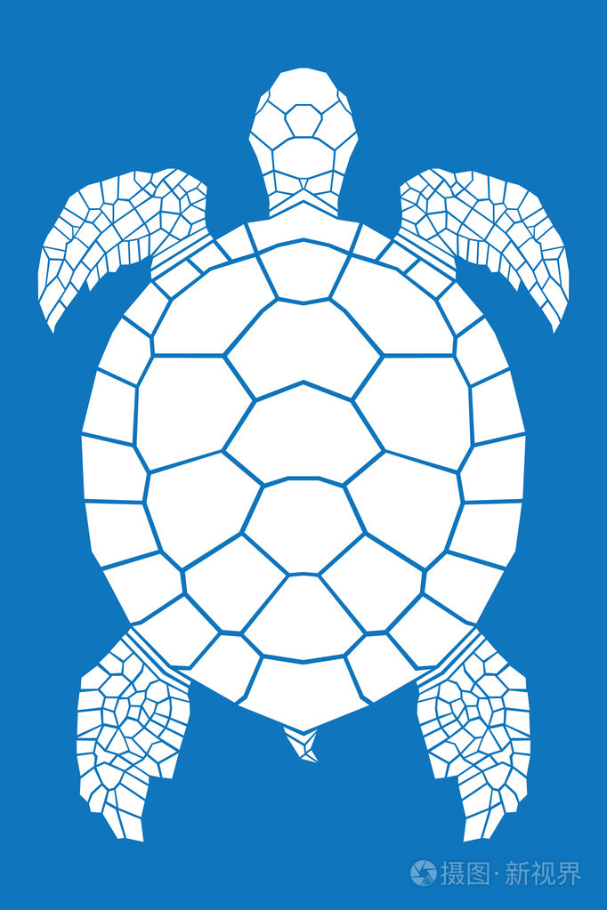 海龟插画-正版商用图片05vi5s-摄图新视界