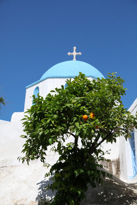 教会和竞赛岛上的桔子树图片