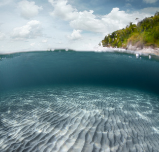 沧海