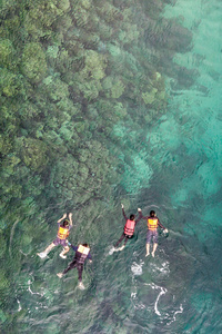 一群游客在蓝海游泳。浮潜在全脸浮潜面罩。浅海的珊瑚礁。浮潜海底。海边的水下照片。活动海滨假期