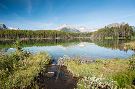 赫伯特  湖全景