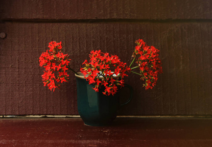 季节农村概念, 花在杯子在褐色背景与拷贝空间。红长寿花