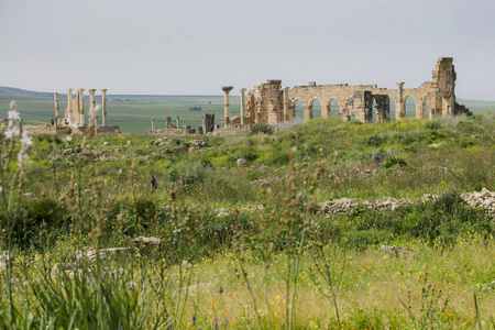 摩洛哥 Volubilis 罗马城