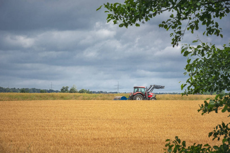 农业形象与拖拉机穿过一个黄色的麦田, 在阴天的夏天, 附近的韦比施哈尔大厅镇, 德国