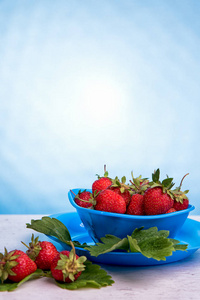 蓝色背景木桌上的菌丝新鲜草莓
