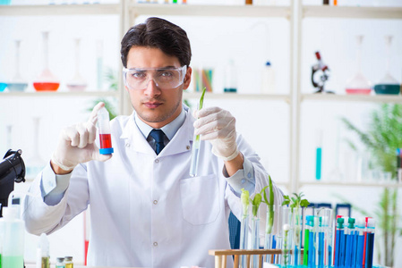 在植物实验室工作的男性生物化学家