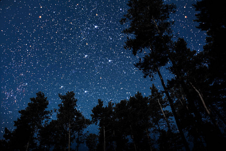 在夜空的背景下, 一只飞行的哥特圣诞老人的剪影。由 Nasa 提供的这幅图像的元素