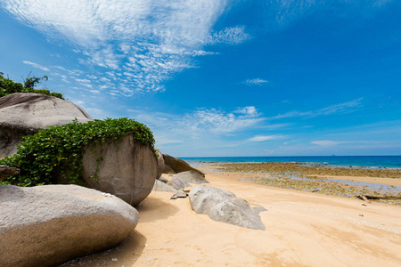 马来西亚热带刁曼岛景观。Tekek 海滩美丽的东南亚海景