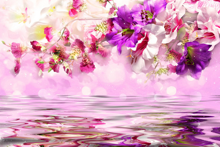 在水面的淡雅花卉图片