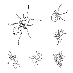 不同种类的昆虫轮廓图标集合中的设计。昆虫节肢动物向量等距符号股票 web 插图
