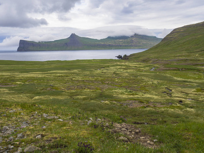 风景秀丽的 Hornbjarg 峭壁在西部峡湾, 遥远的自然保护区 Hornstrandir 在冰岛, 与绿色草甸花小河和山