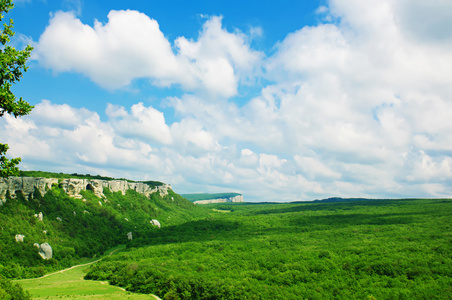 山夏天风景