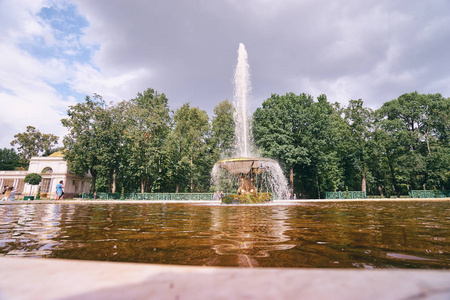 美丽的喷泉在彼得夏宫的花园。圣彼得堡, 俄罗斯