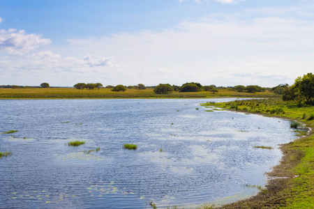 Isimangaliso 湿地公园景观，南非。来自非洲的美丽全景。野生动物园和户外