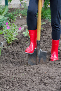 穿着红色橡胶靴的园丁正在床上挖泥土。女农夫用大铲子在花园里挖洞