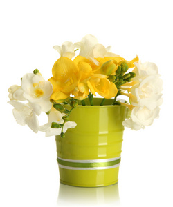 freesias 桶，在白色上隔绝的美丽花束