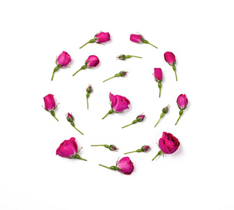 粉红色的花蕾在白色背景上被隔离的圆形形状排列。平躺。顶部视图