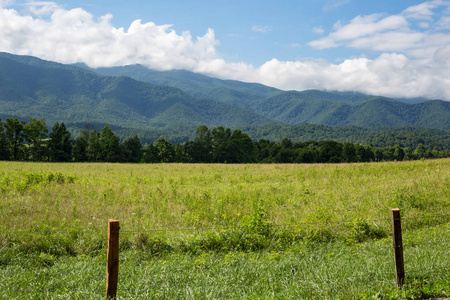 田纳西周围夏天的大烟山图片