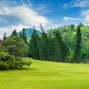 夏季公园, 篱笆, 绿色草地和蓝天。阳光明媚的一天