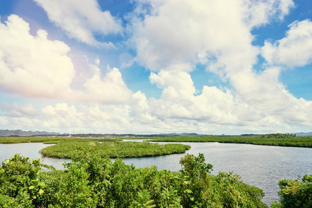 美丽的风景与绿色红树林海泻湖, 国家公园, 锡亚高岛海岛, 菲律宾