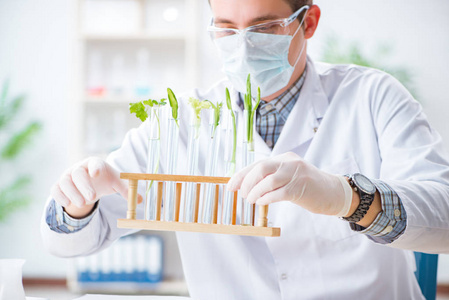 在植物实验室工作的男性生物化学家