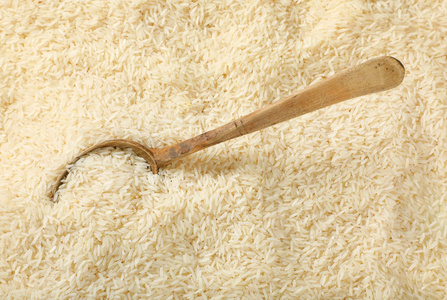 丰收大米粒图片