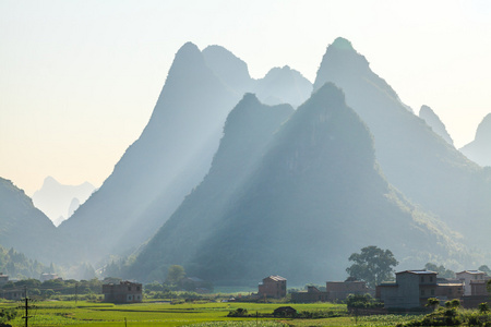 清晨的露珠在石灰岩岩层