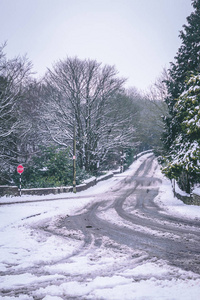 冰雪世界：白色季节下的户外冒险