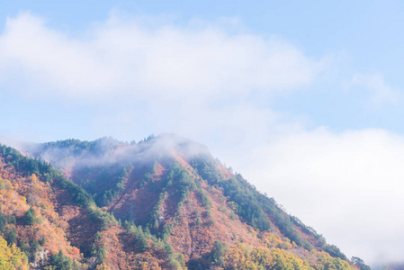 日本福岛只见地区秋季落叶植物区苑