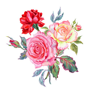 玫瑰花束, 水彩图画在白色背景, 隔绝