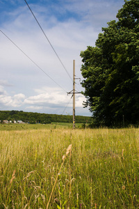 森林旁乡村草地的电力线