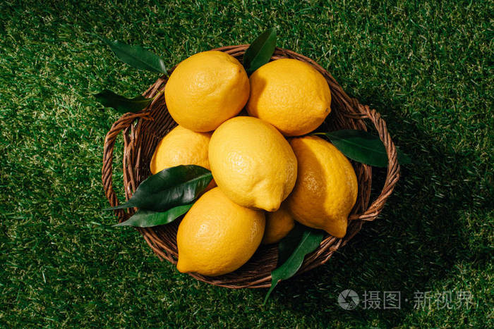 绿色草坪上柳条篮中的柠檬与叶子的顶部视图
